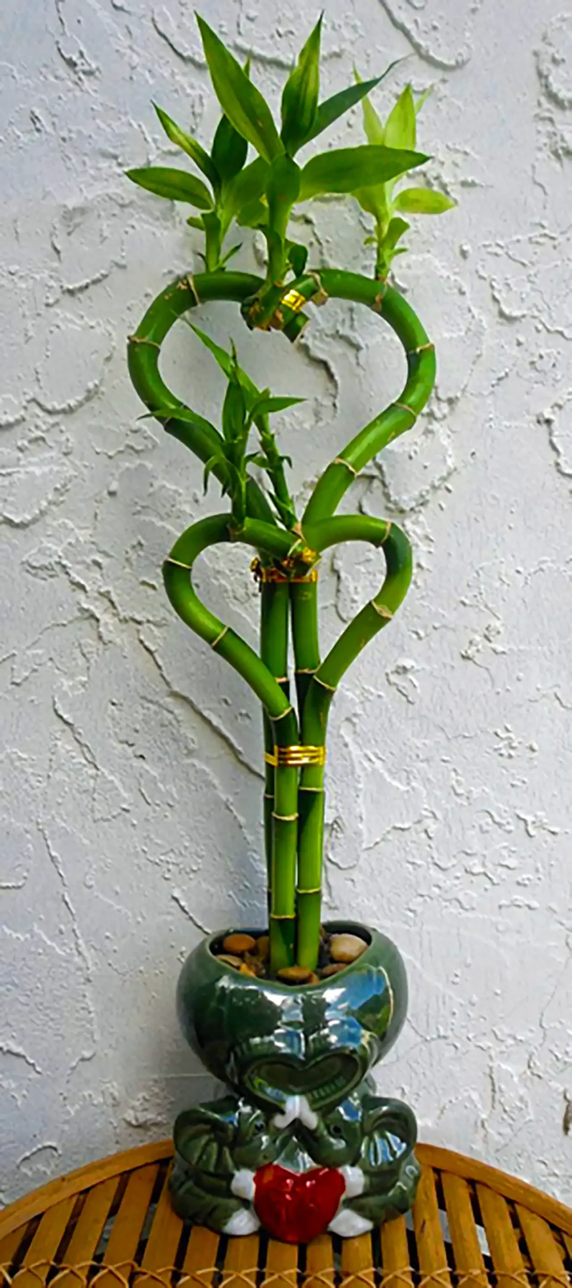 گلدان گل طبیعی دکوری 
