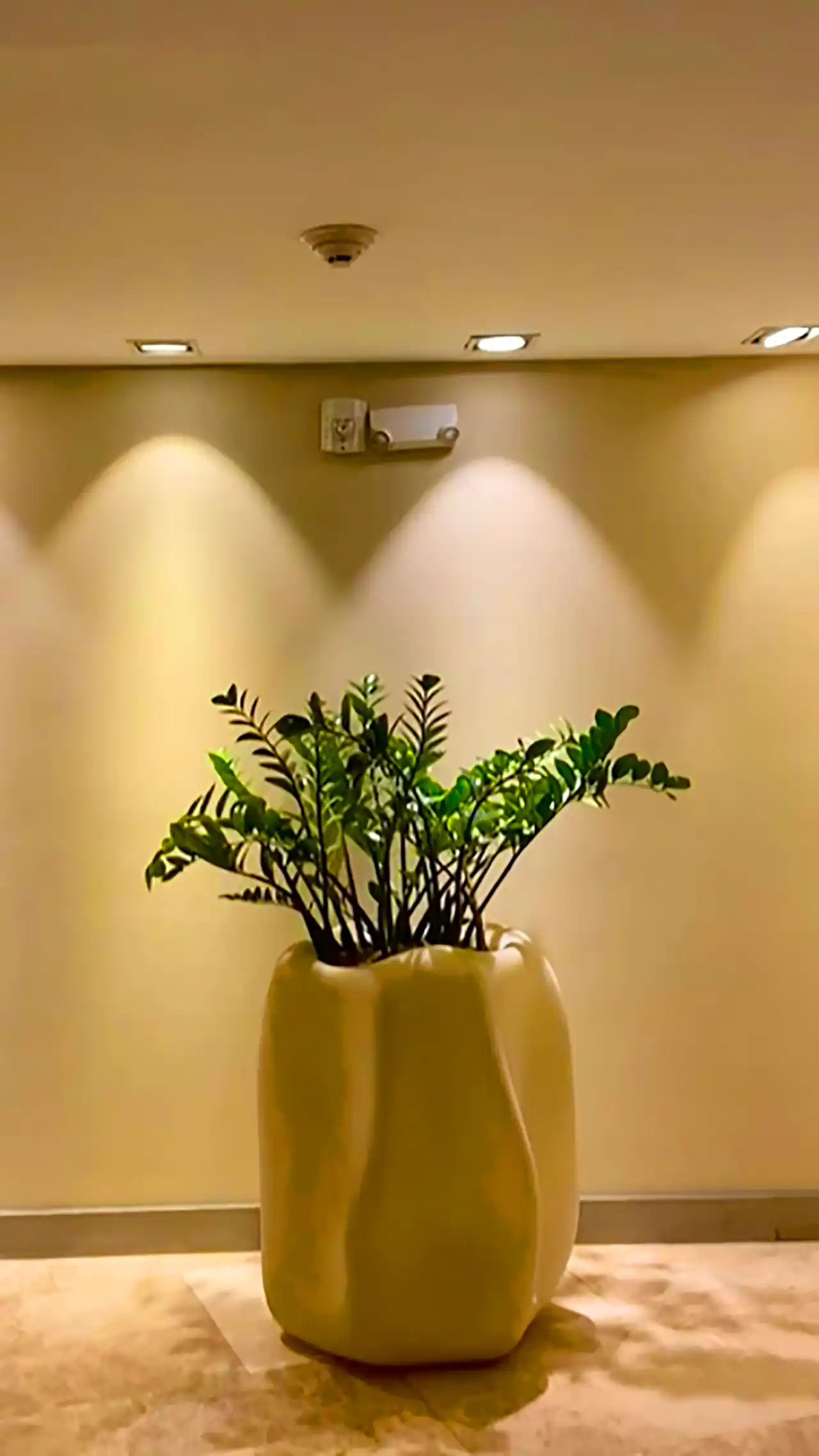 گلدان دکوری برای نمای ورودی