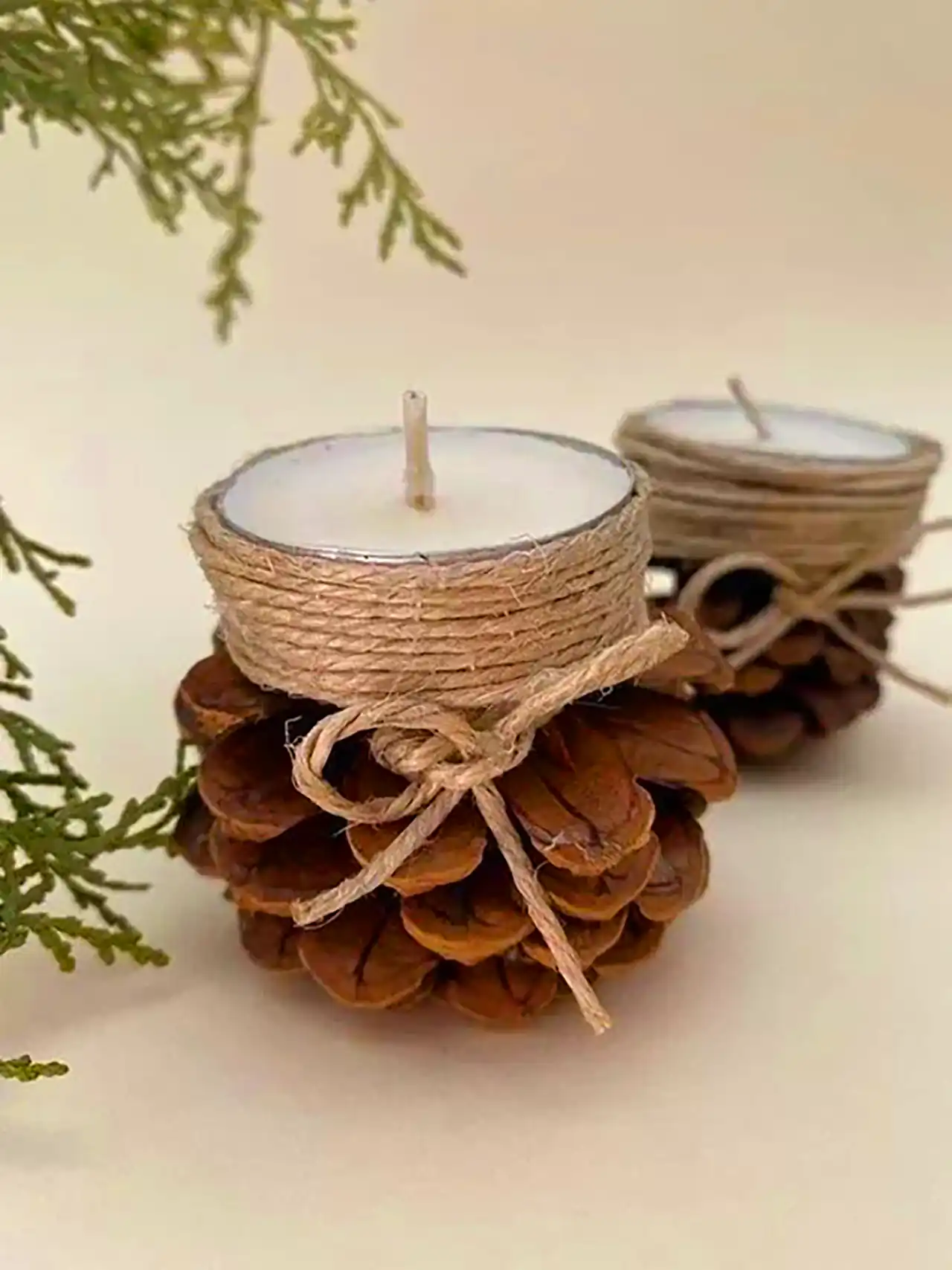 دکور شیک با میوه کاج